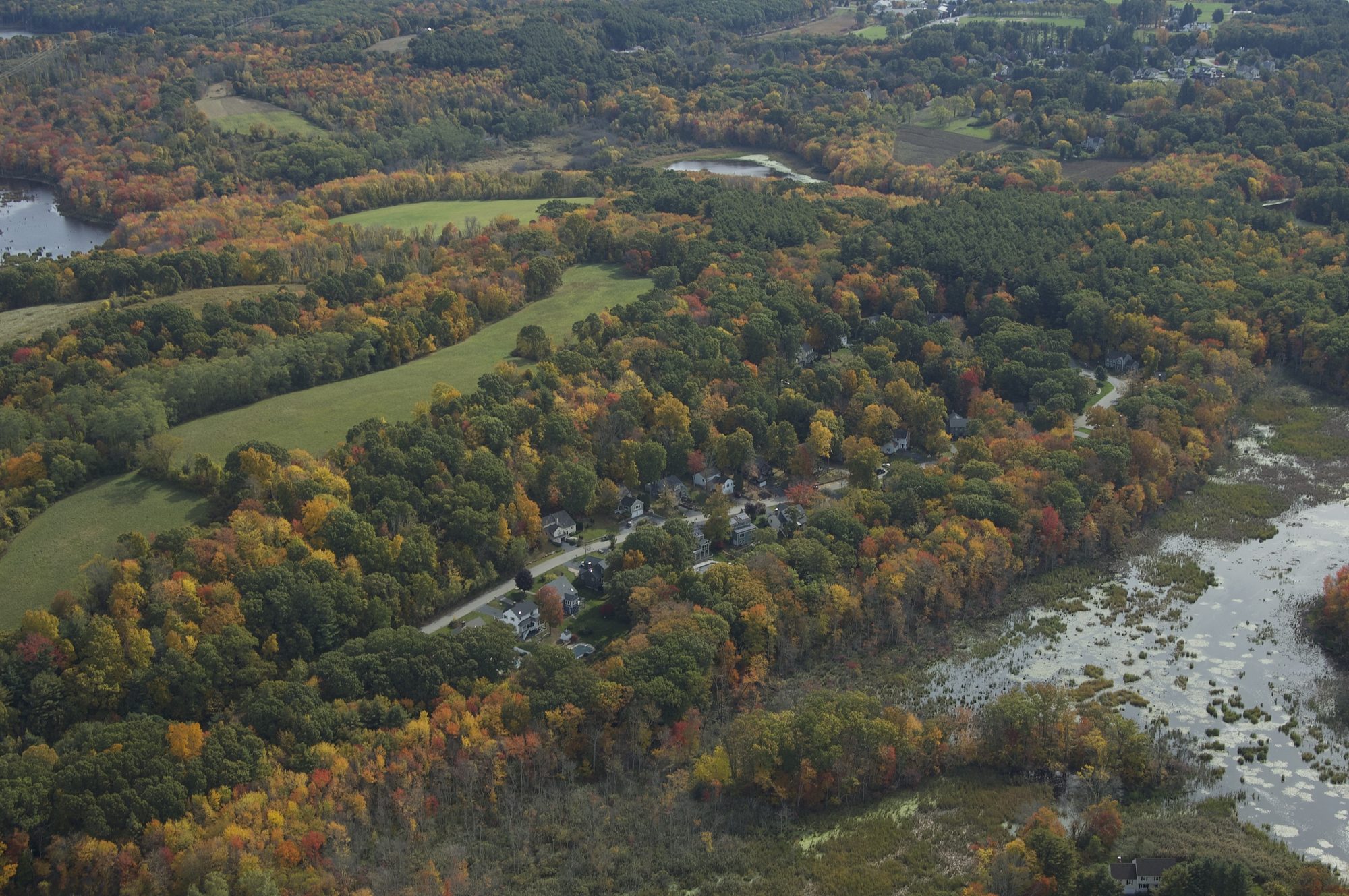 Aerial view of Zendko homes nestled along preserved meadow and wetlands