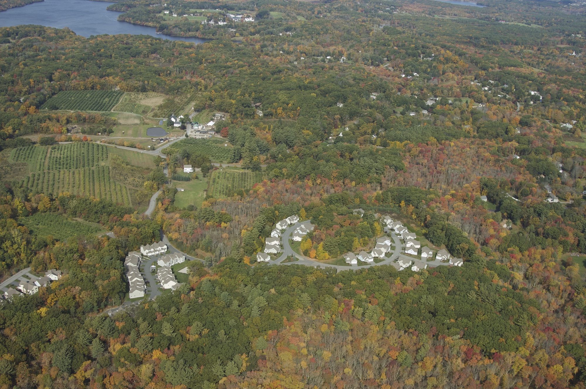 Meetinghouse Commons surrounded by orchards and woodland